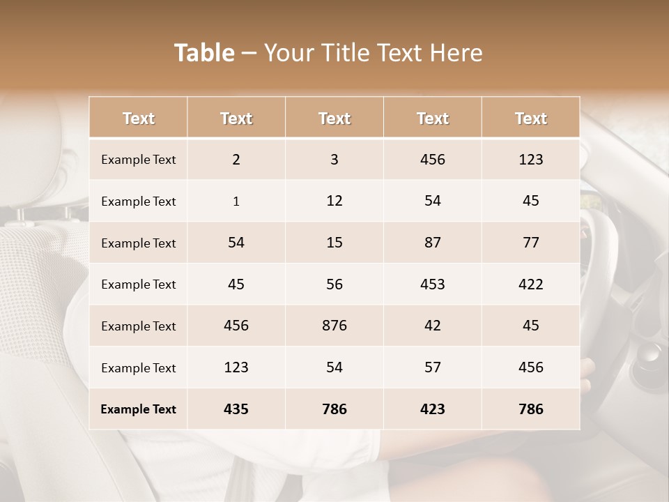 Salon Woman Wheel PowerPoint Template