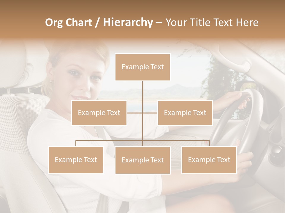 Salon Woman Wheel PowerPoint Template