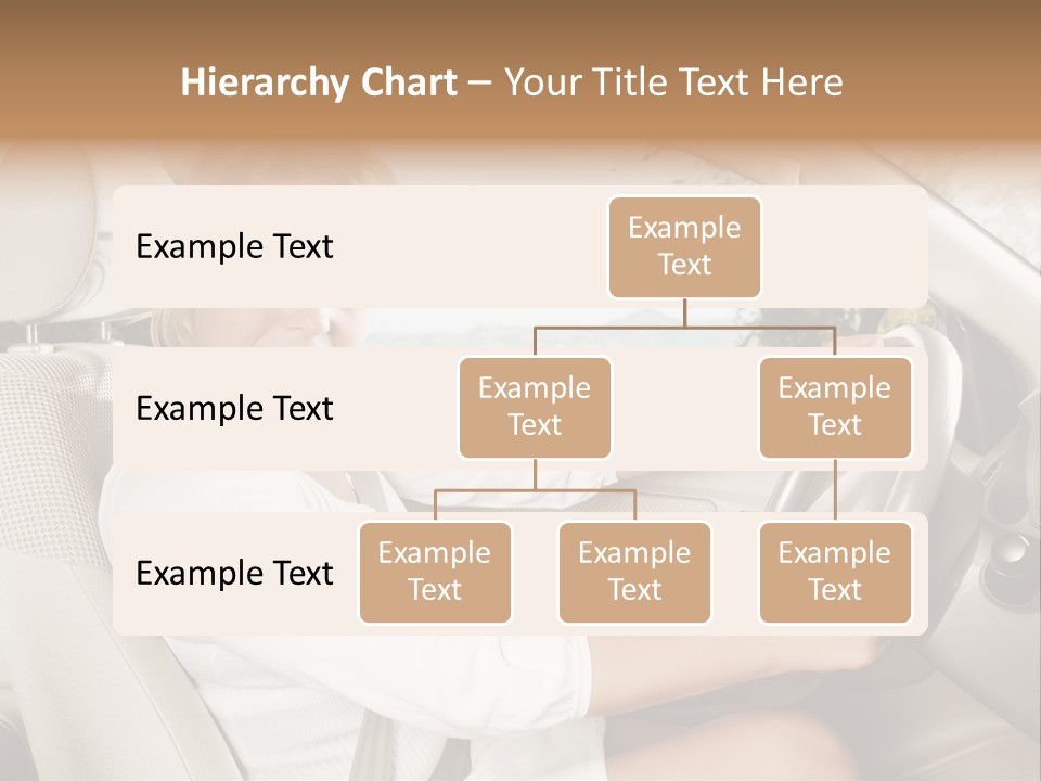 Salon Woman Wheel PowerPoint Template