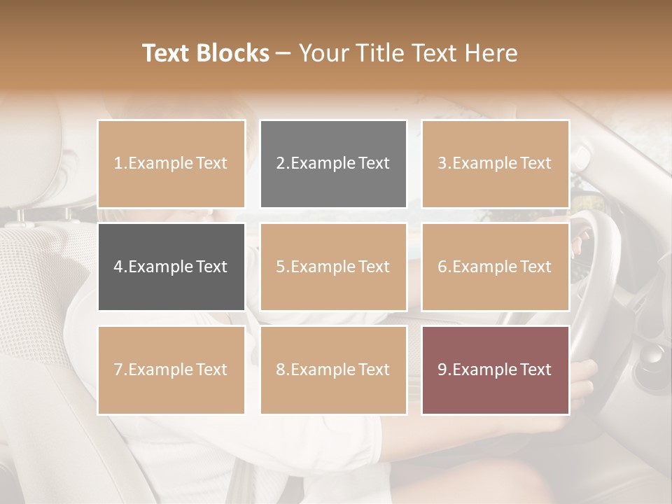 Salon Woman Wheel PowerPoint Template