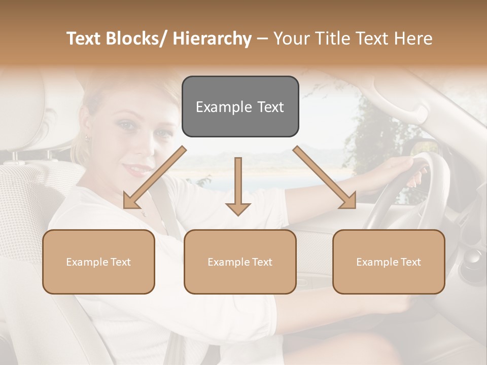 Salon Woman Wheel PowerPoint Template