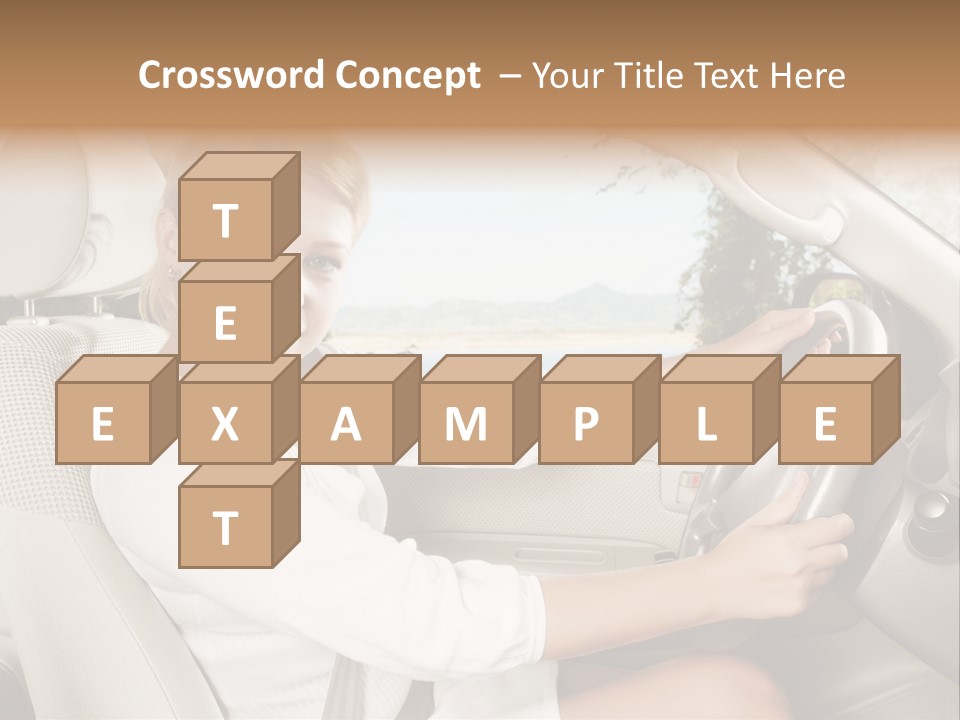 Salon Woman Wheel PowerPoint Template
