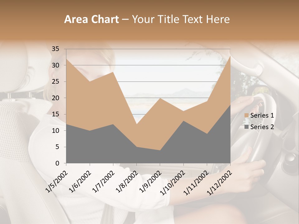Salon Woman Wheel PowerPoint Template
