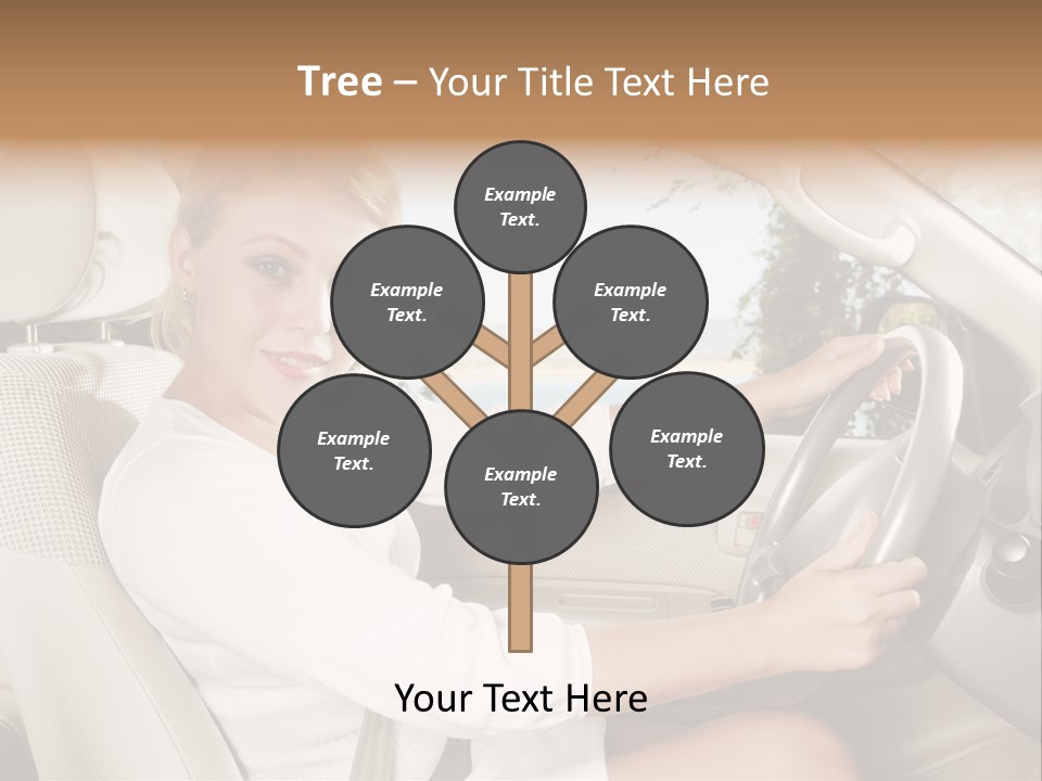 Salon Woman Wheel PowerPoint Template