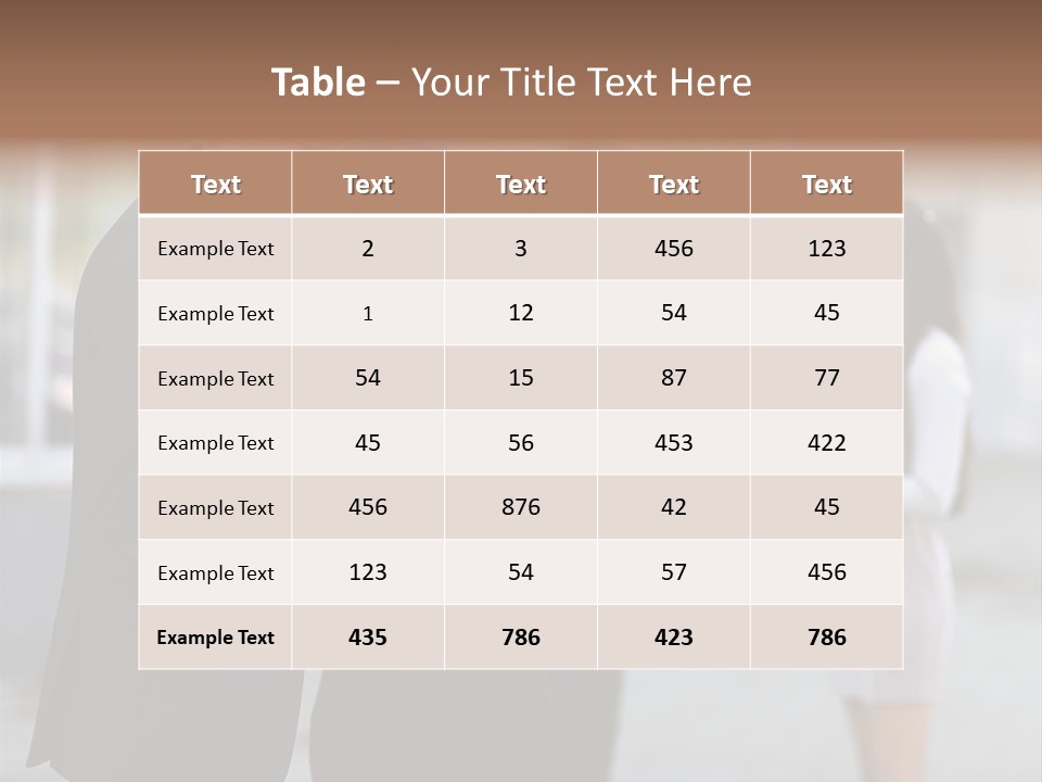 Businesswomen Agreement Partners PowerPoint Template