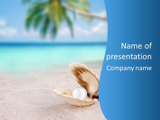 Sand Summer Shellfish PowerPoint Template