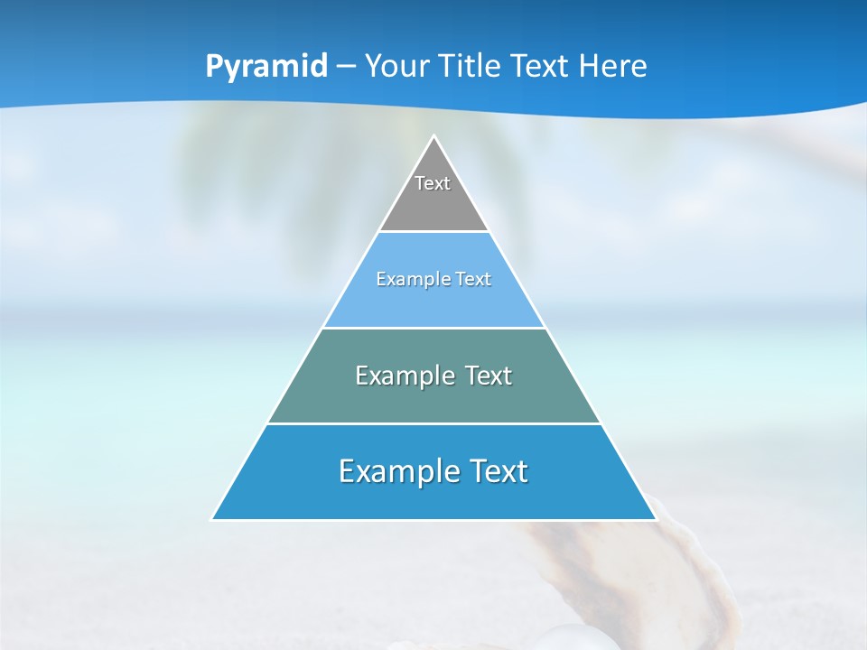 Sand Summer Shellfish PowerPoint Template