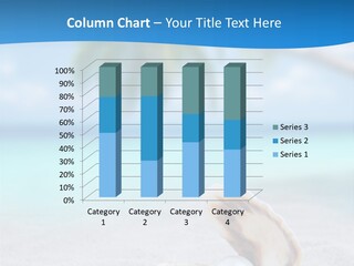 Sand Summer Shellfish PowerPoint Template