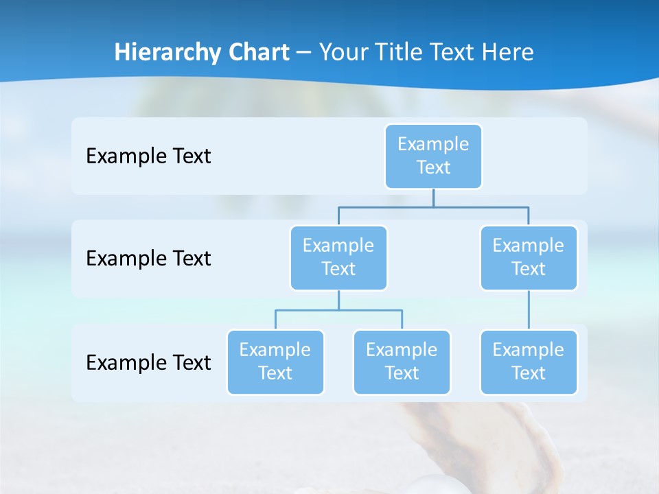 Sand Summer Shellfish PowerPoint Template