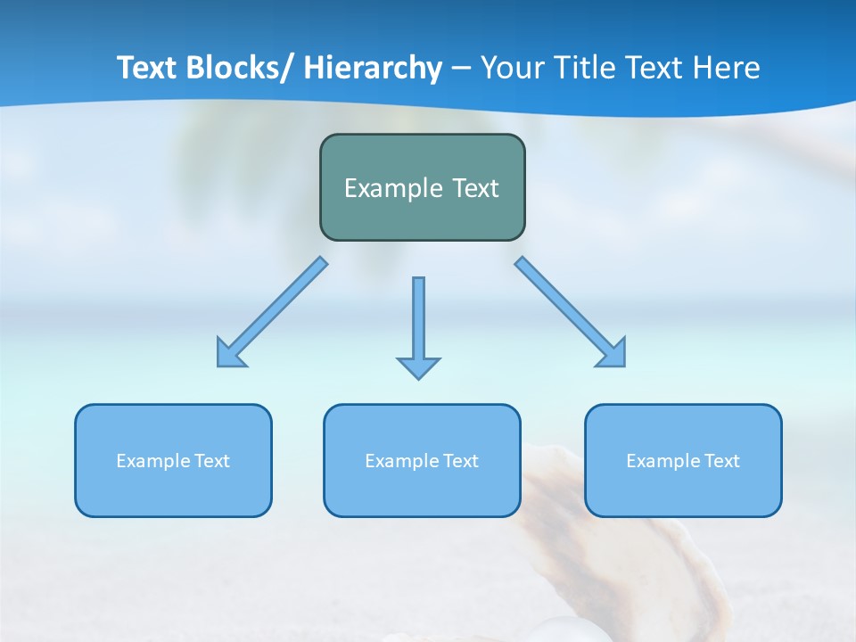 Sand Summer Shellfish PowerPoint Template