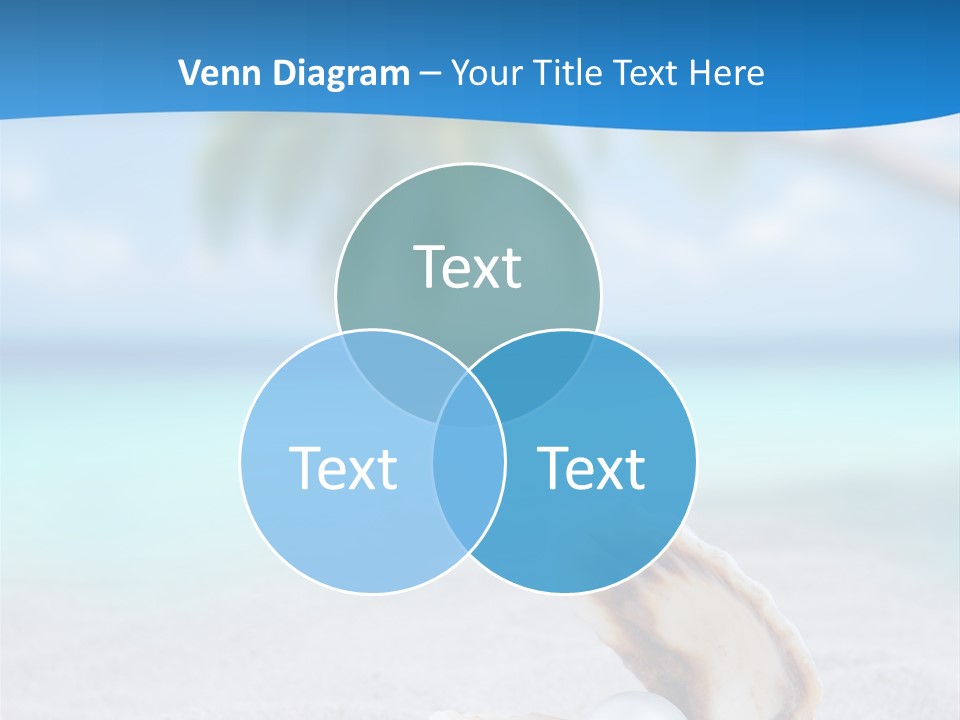 Sand Summer Shellfish PowerPoint Template