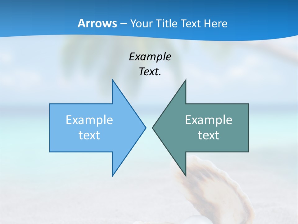 Sand Summer Shellfish PowerPoint Template