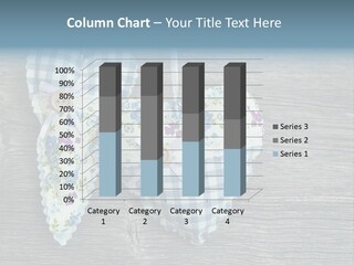 Retro Rustic Country PowerPoint Template