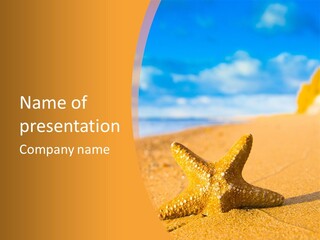 Closeup Season Aquatic PowerPoint Template