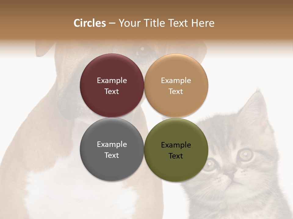 Terrier Idea Five PowerPoint Template