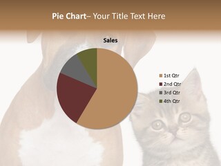 Terrier Idea Five PowerPoint Template