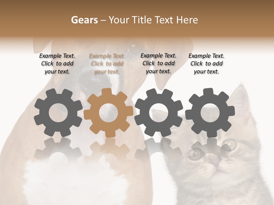 Terrier Idea Five PowerPoint Template