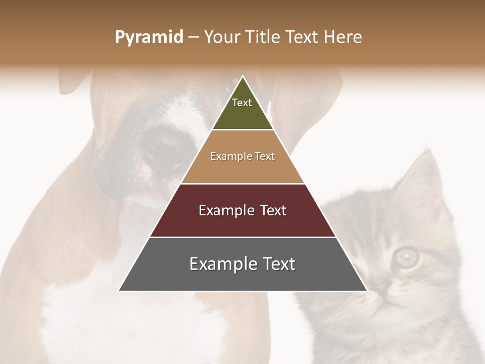 Terrier Idea Five PowerPoint Template