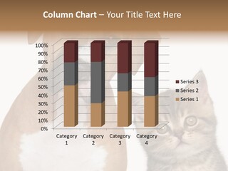 Terrier Idea Five PowerPoint Template