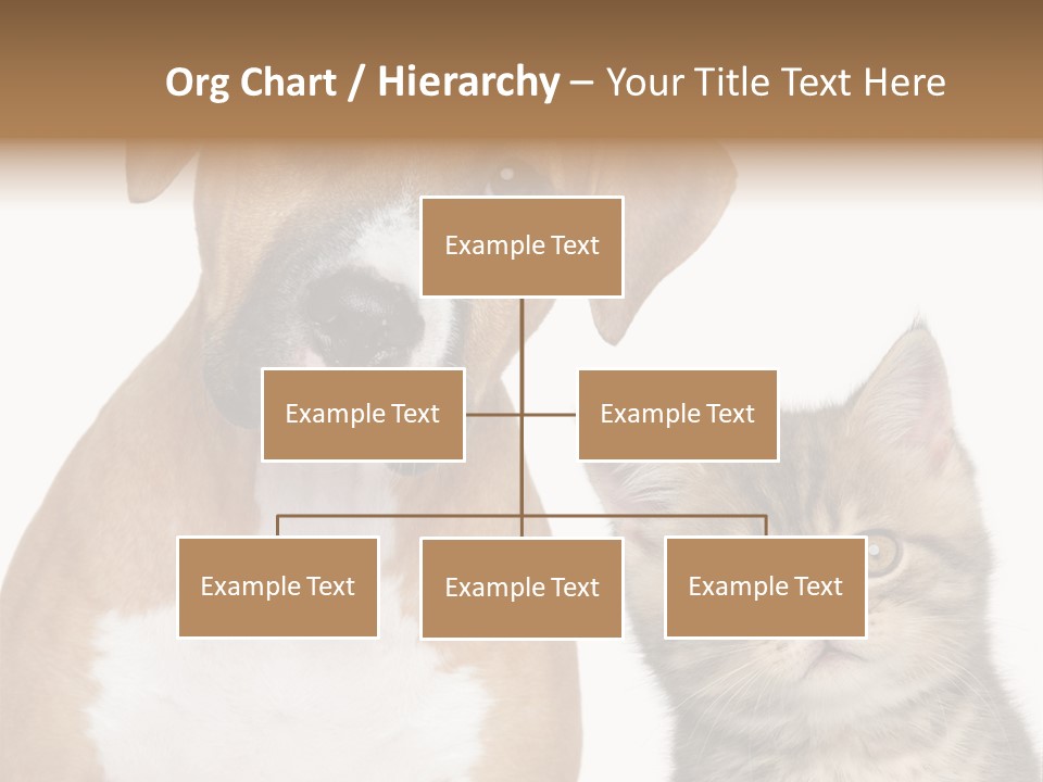 Terrier Idea Five PowerPoint Template