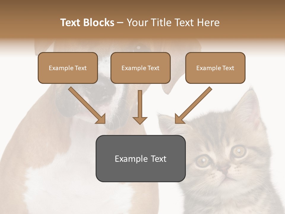 Terrier Idea Five PowerPoint Template