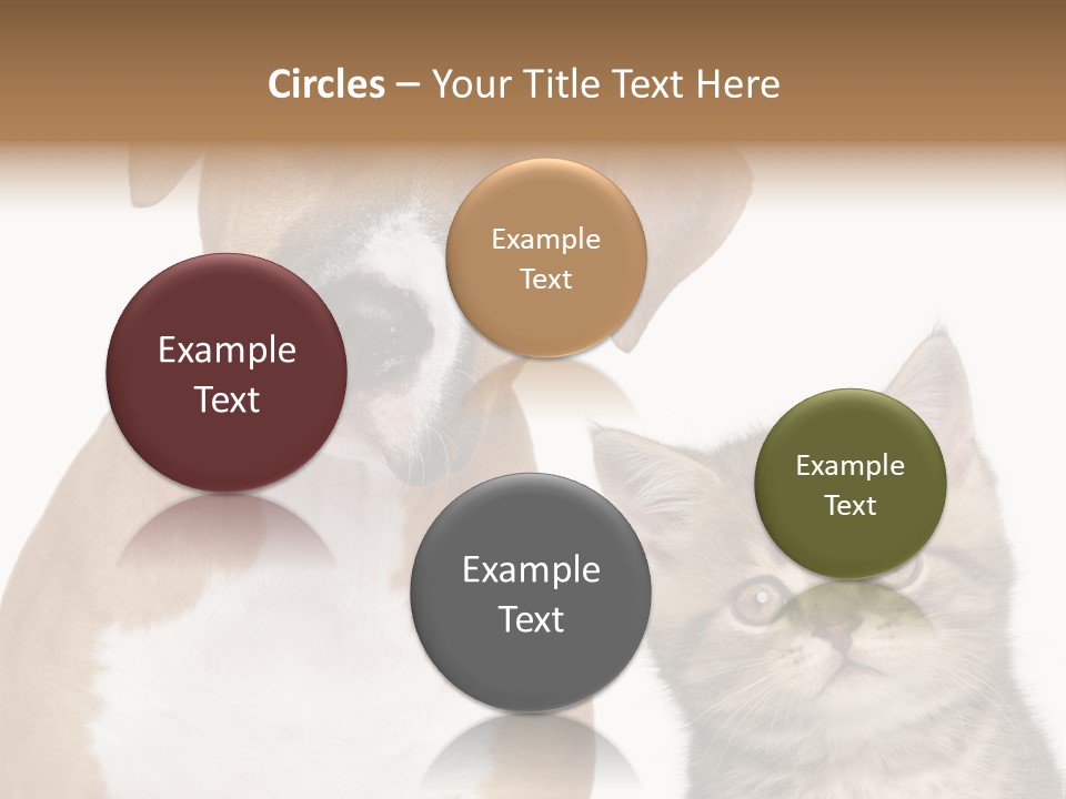 Terrier Idea Five PowerPoint Template
