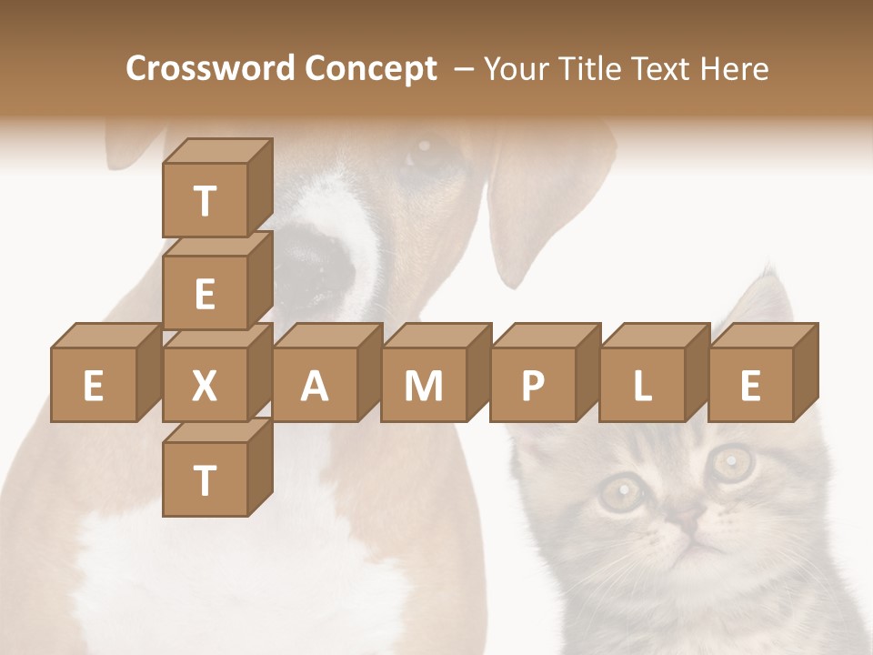 Terrier Idea Five PowerPoint Template