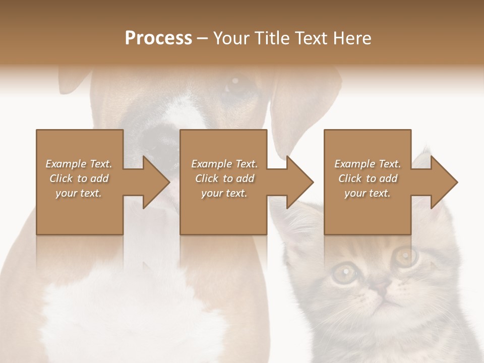 Terrier Idea Five PowerPoint Template