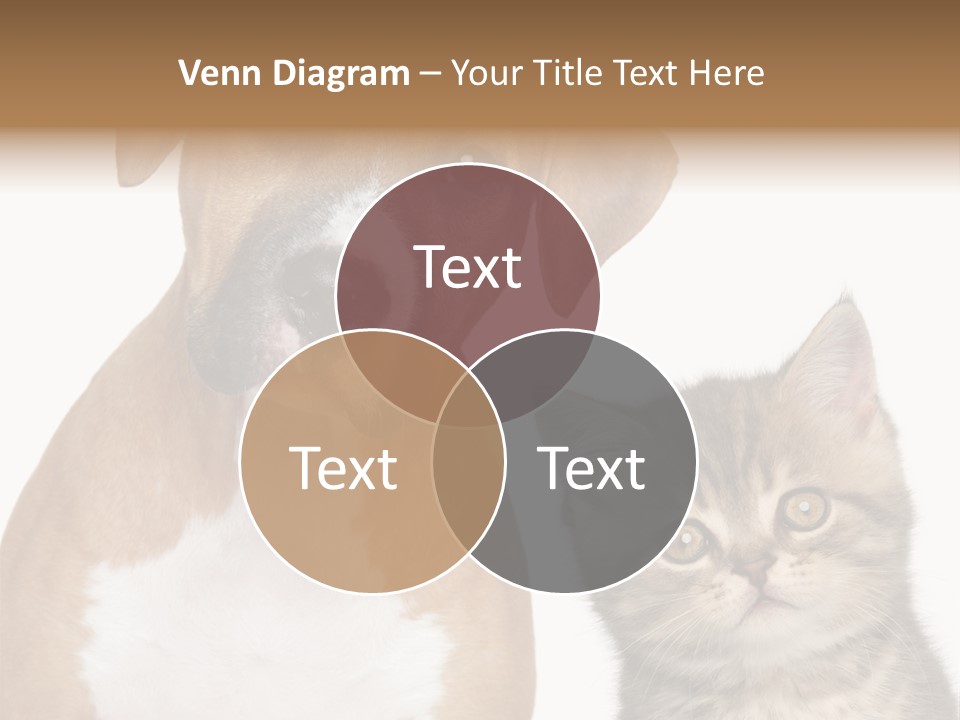 Terrier Idea Five PowerPoint Template