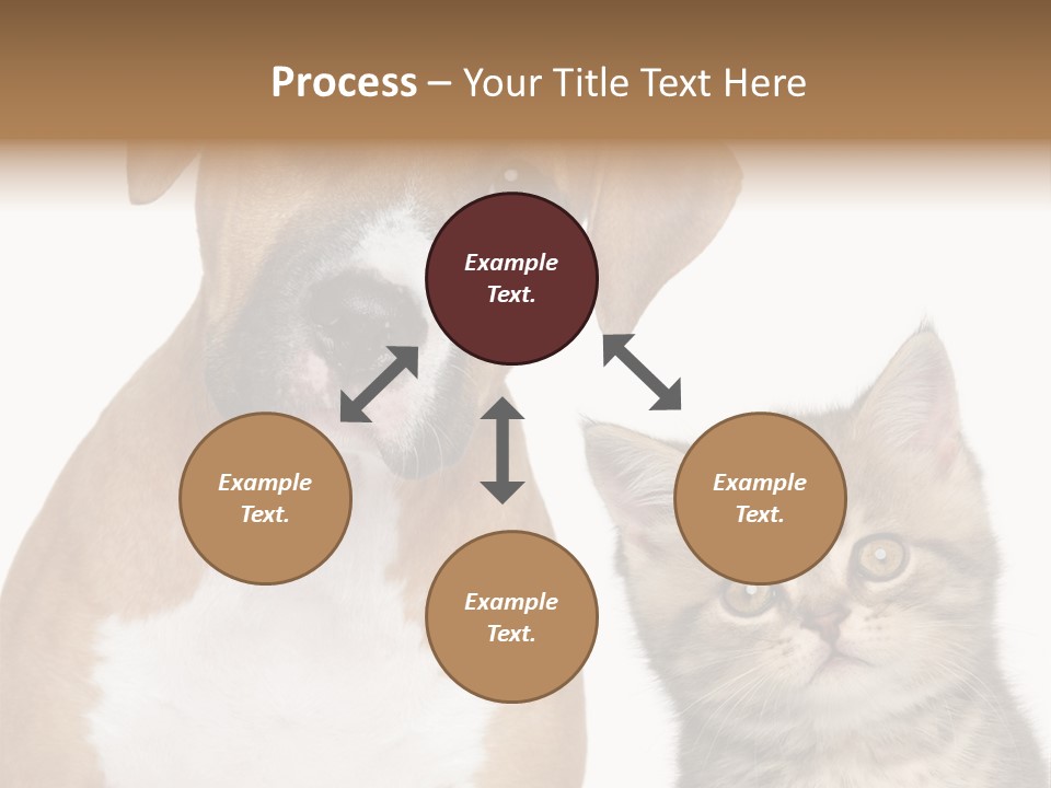 Terrier Idea Five PowerPoint Template