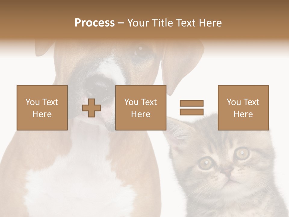 Terrier Idea Five PowerPoint Template