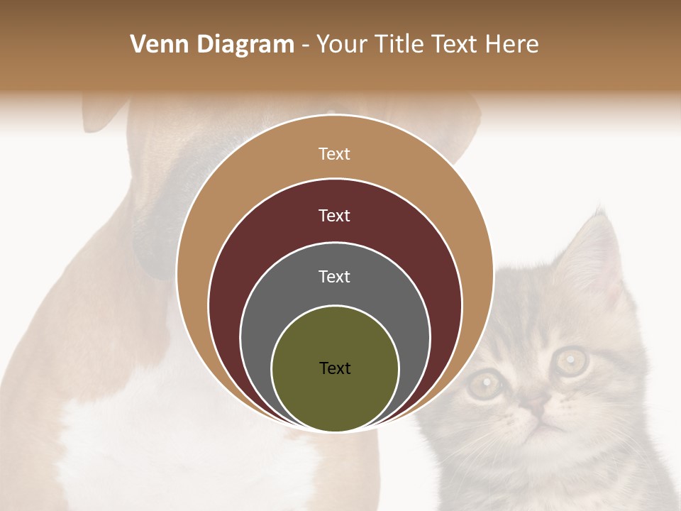 Terrier Idea Five PowerPoint Template