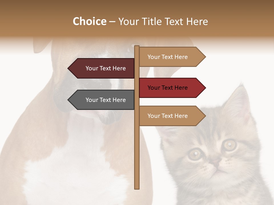 Terrier Idea Five PowerPoint Template