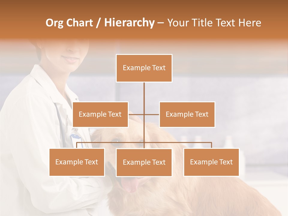 Adult Surgeon Indoor PowerPoint Template