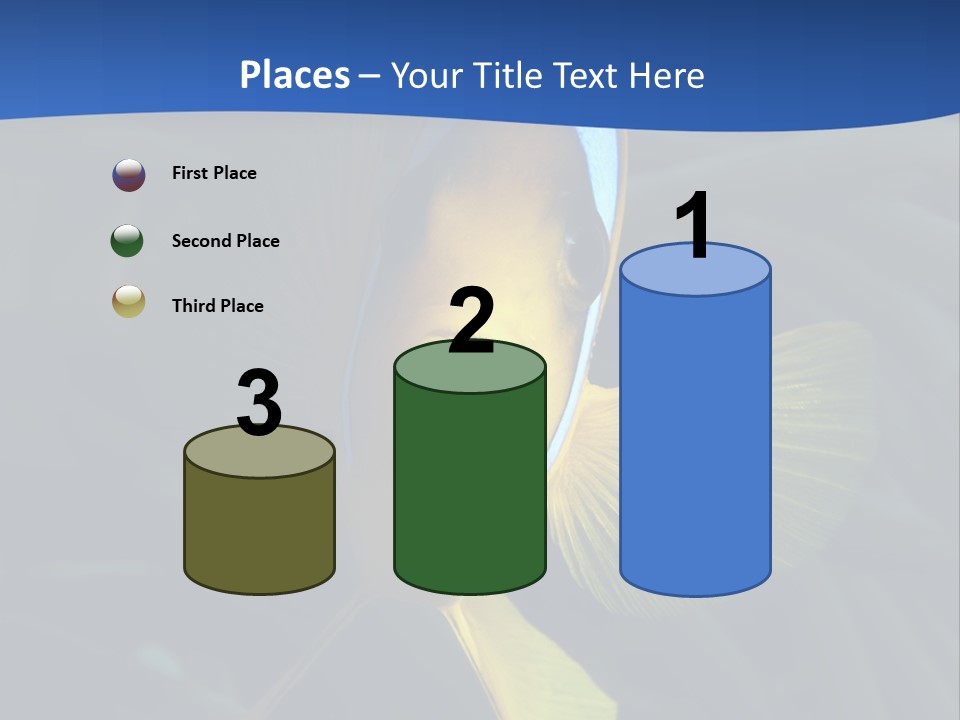 Coral Fish Exotic Diving PowerPoint Template