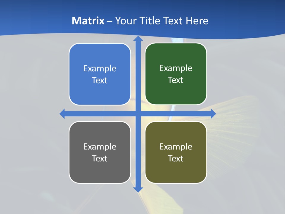 Coral Fish Exotic Diving PowerPoint Template