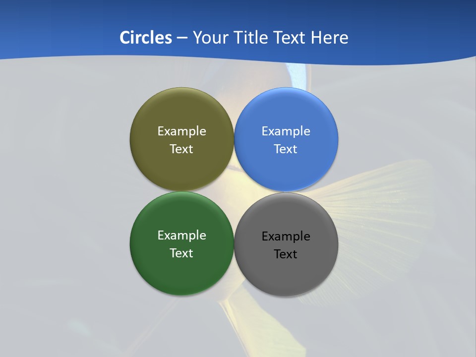 Coral Fish Exotic Diving PowerPoint Template