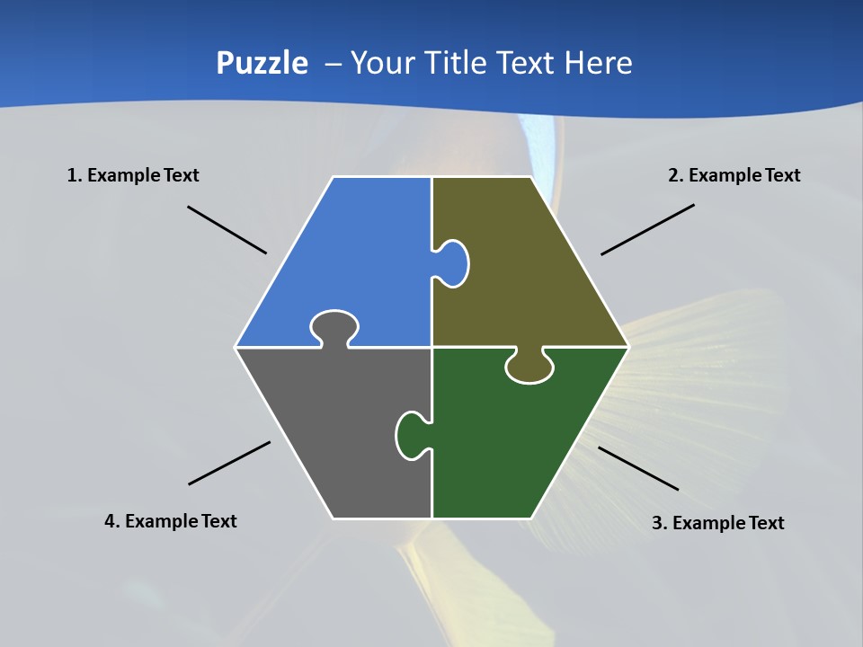 Coral Fish Exotic Diving PowerPoint Template