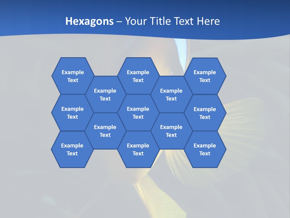 Coral Fish Exotic Diving PowerPoint Template