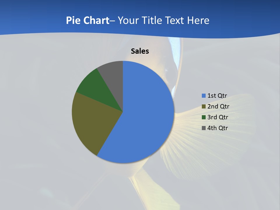 Coral Fish Exotic Diving PowerPoint Template