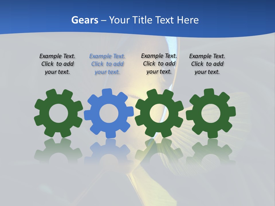 Coral Fish Exotic Diving PowerPoint Template