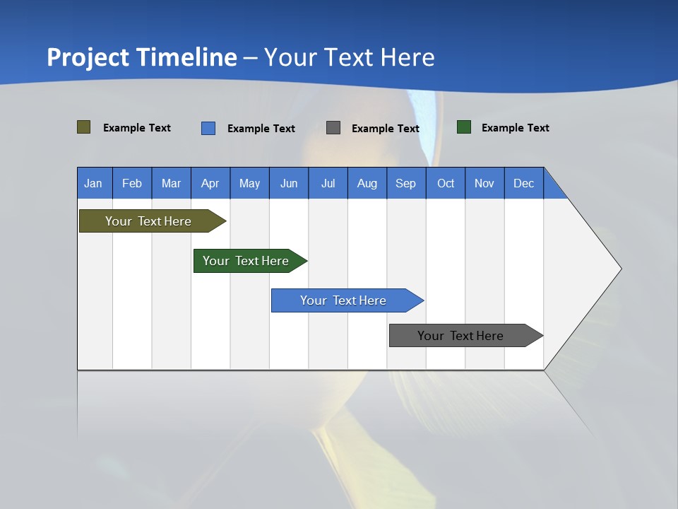 Coral Fish Exotic Diving PowerPoint Template