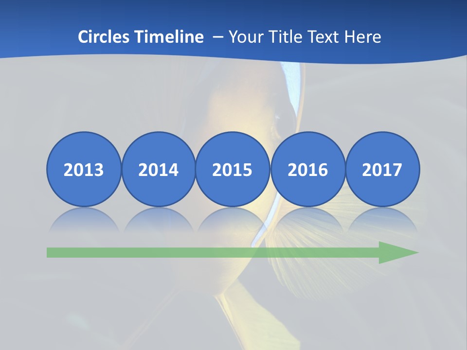 Coral Fish Exotic Diving PowerPoint Template