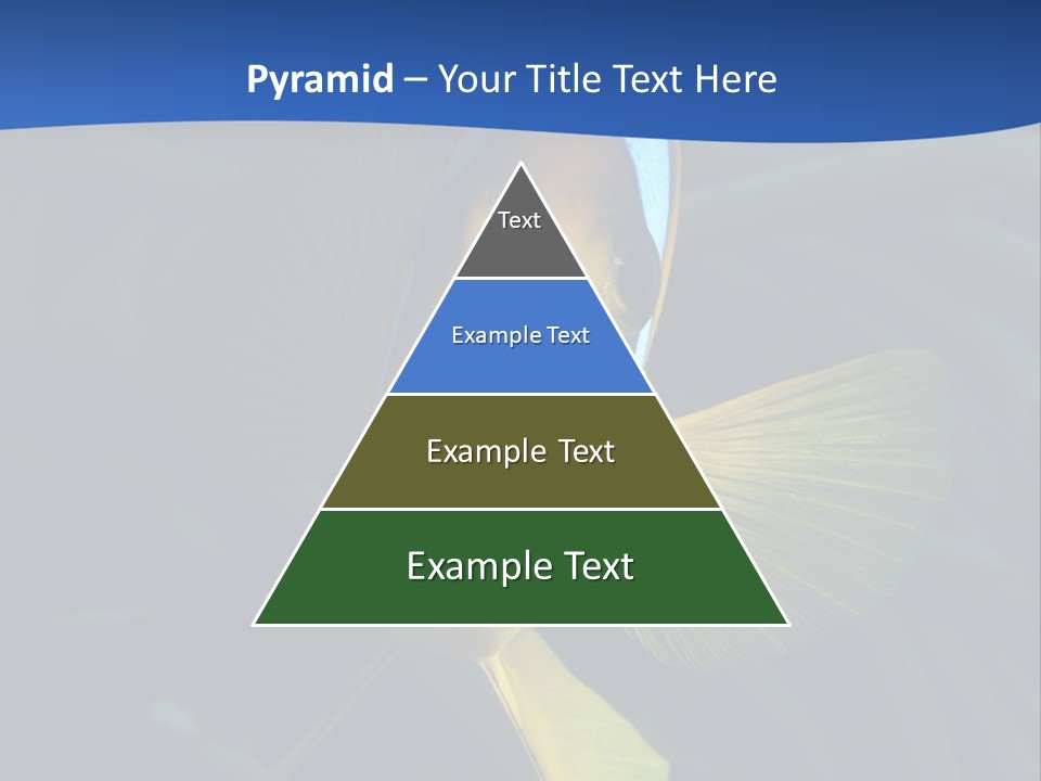 Coral Fish Exotic Diving PowerPoint Template