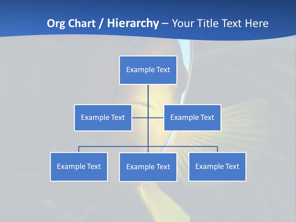 Coral Fish Exotic Diving PowerPoint Template