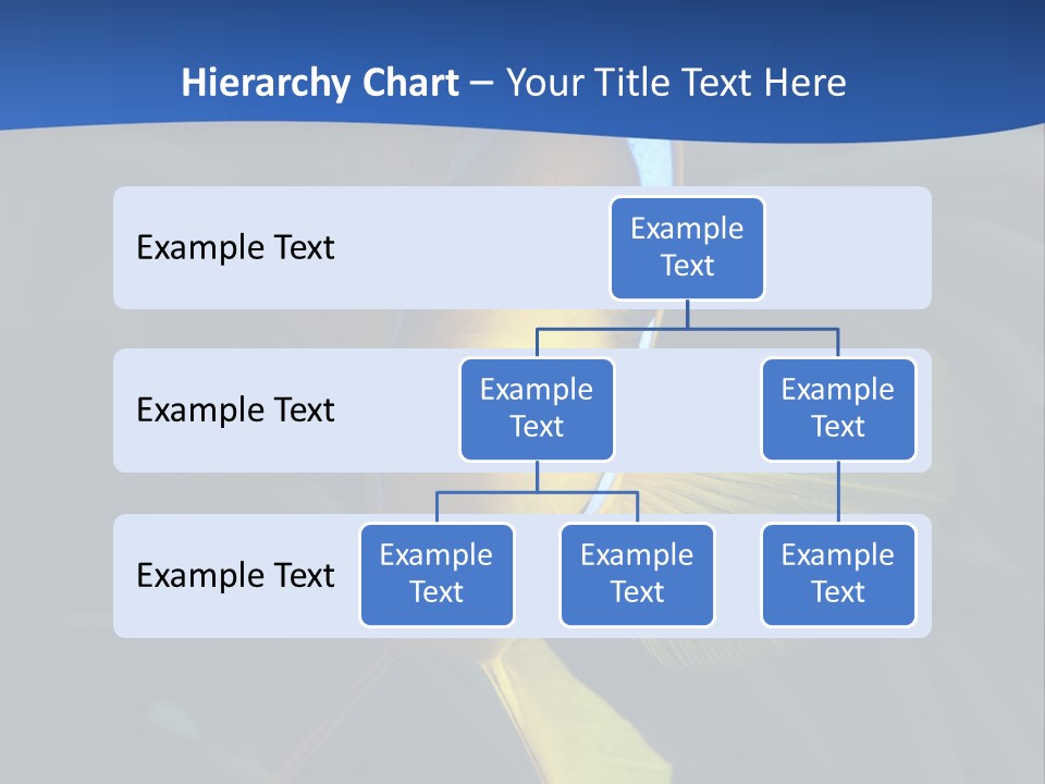 Coral Fish Exotic Diving PowerPoint Template