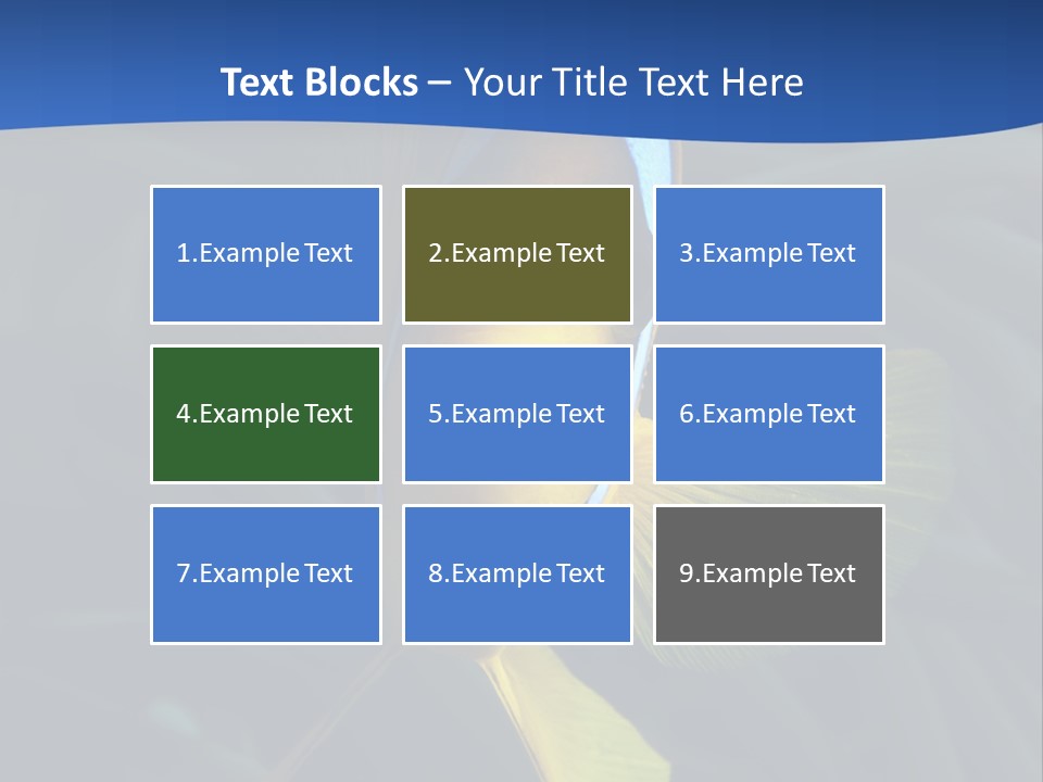 Coral Fish Exotic Diving PowerPoint Template