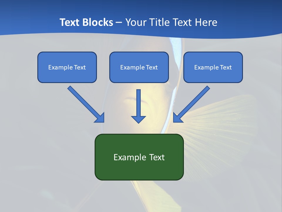 Coral Fish Exotic Diving PowerPoint Template