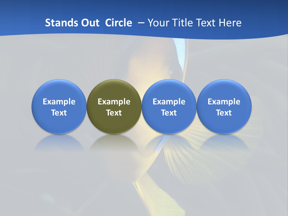 Coral Fish Exotic Diving PowerPoint Template