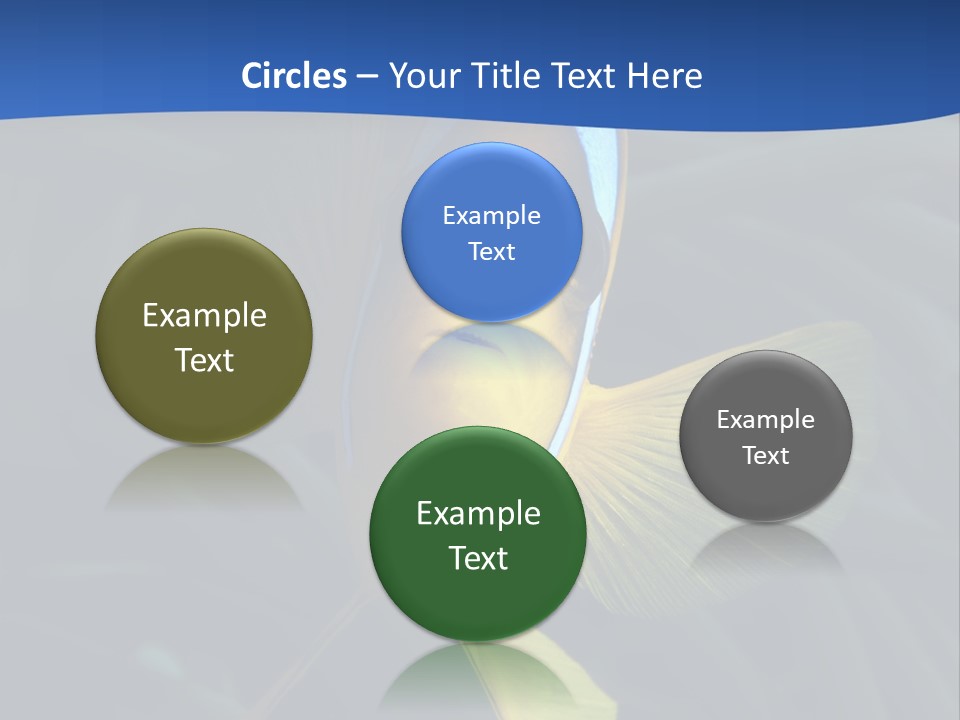 Coral Fish Exotic Diving PowerPoint Template